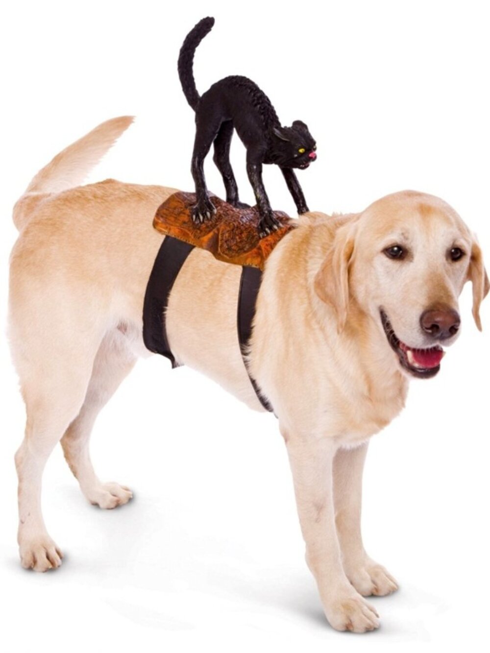 Dog Funny Halloween Riders Pet Costume Black Cat Rider Size M/L